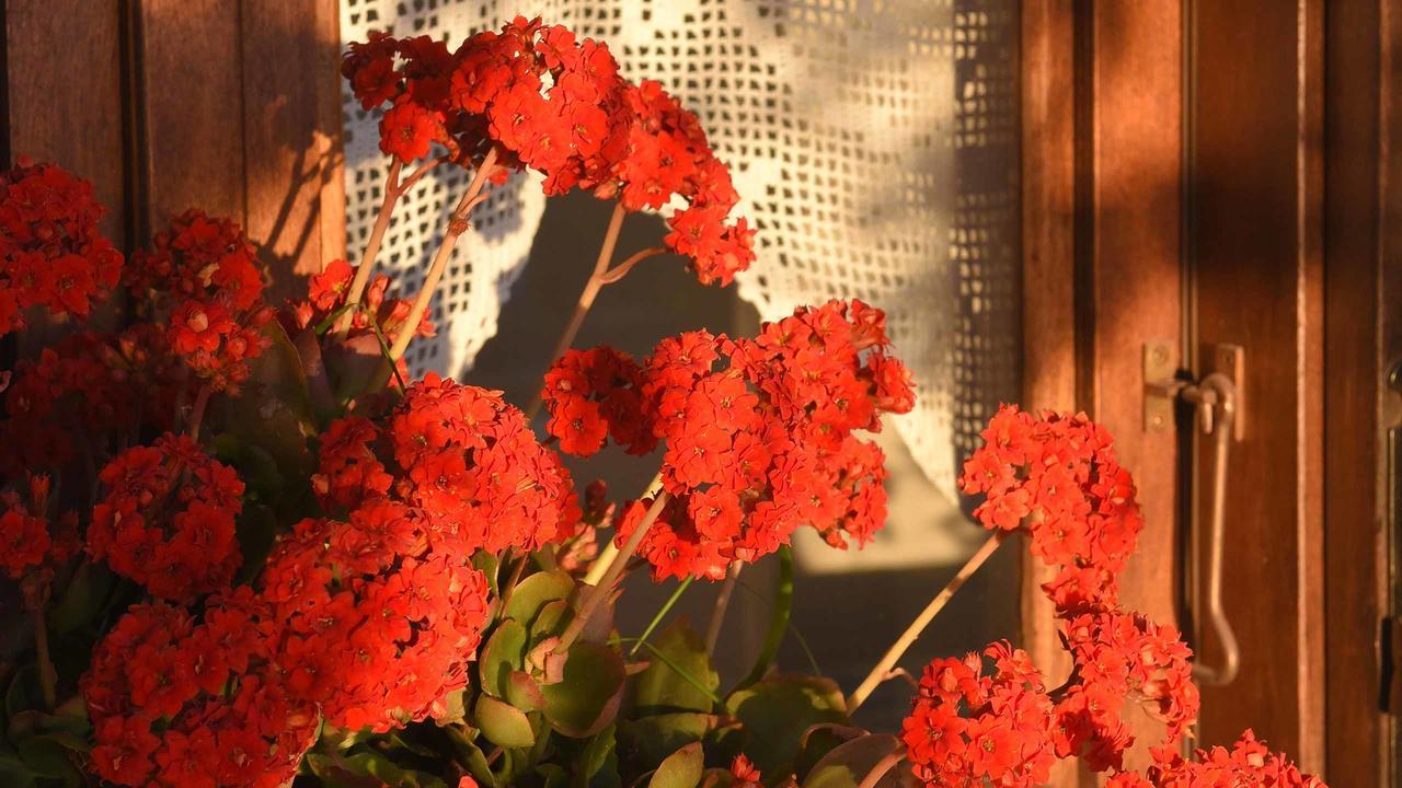 키니언 아네모스 앤 알미라 아파트 외부 사진
